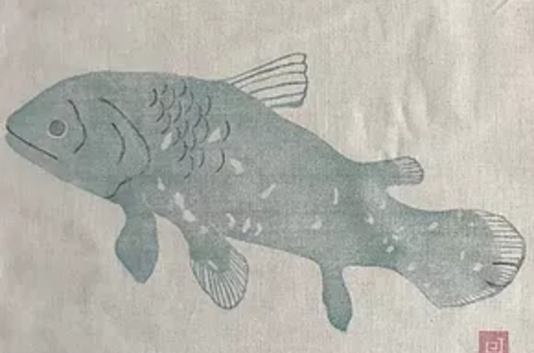 手ぬぐい